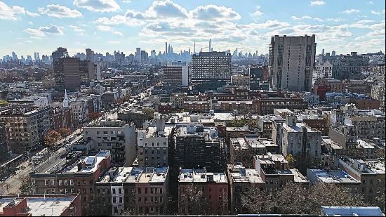 Best home in Harlem. (private roof deckGrill allowed. 3 full floors and a privat