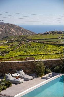 ID 1071844_ Villa For sale, Mykonos