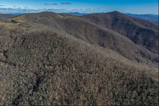 Maggie Valley