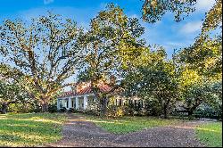 Woodstock Plantation 