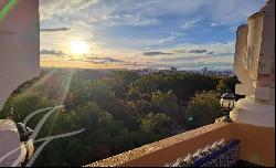 A unique gem: panoramic views of the Retiro and a enormous terrace