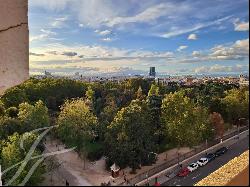 A unique gem: panoramic views of the Retiro and a enormous terrace