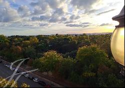 A unique gem: panoramic views of the Retiro and a enormous terrace