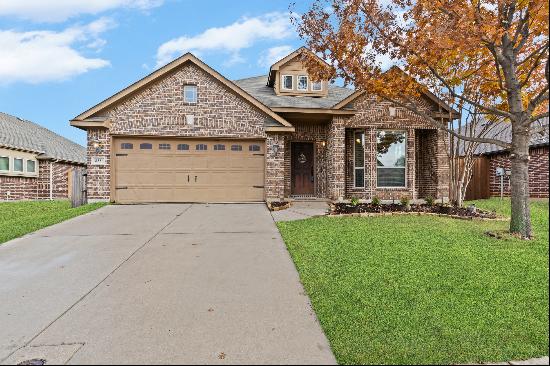 8321 Spitfire Trail,Aubrey, TX, 76227