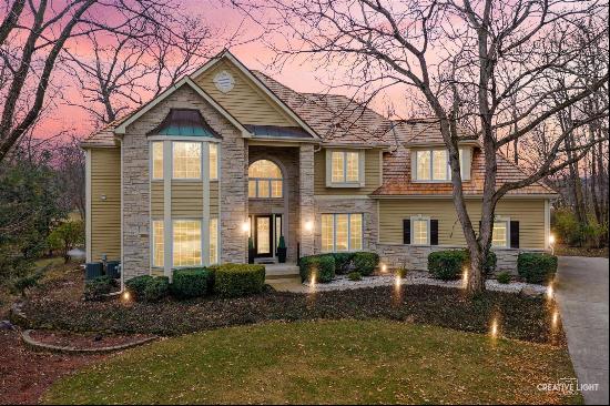 216 Crooked Tree Court, Naperville, IL, 60565, USA