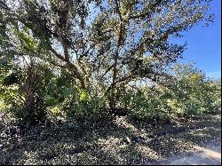 Lot 5 Jeming Rd, North Port, FL 34286