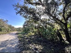 Lot 5 Jeming Rd, North Port, FL 34286