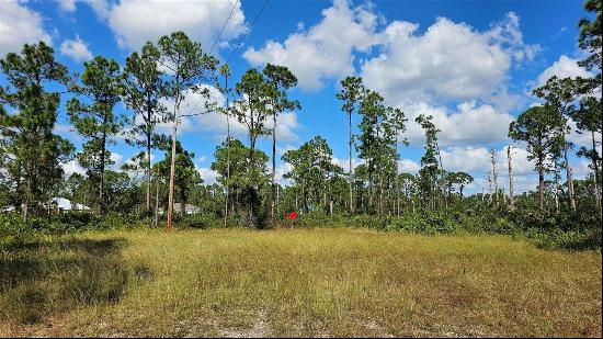 Lehigh Acres