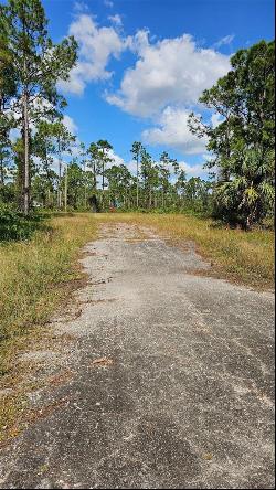 815 Tuba Ct, Lehigh Acres, FL 33974