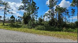 812 Pinecastle Dr, Lehigh Acres, FL 33974