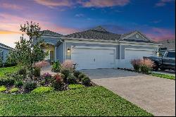 14607 Barefoot Ln, Parrish, FL 34219