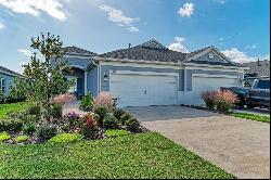 14607 Barefoot Ln, Parrish, FL 34219