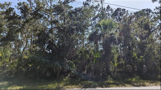 Abdella Ln, North Port, FL 34291