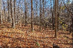 BANNER ELK - THE LODGES AT EAGLES NEST