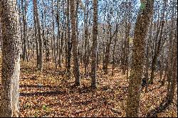 BANNER ELK - THE LODGES AT EAGLES NEST