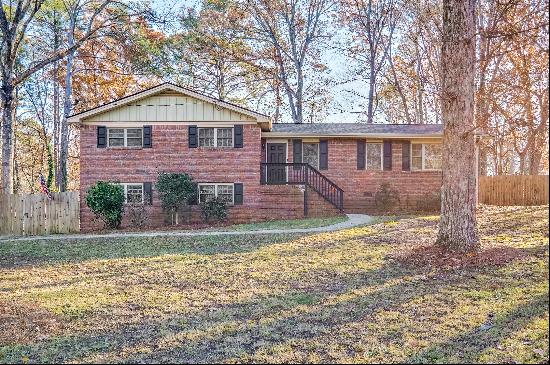 Updated Charming Move-In Ready Home in Acworth