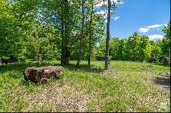 Lot 33 Mt. Pisgah Park, Saranac Lake NY 12983