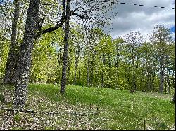 Lot 33 Mt. Pisgah Park, Saranac Lake NY 12983