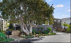 333 Old Mill Road Unit 229, Santa Barbara CA 93110