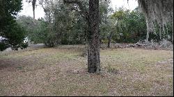 6533 N Tamarind Avenue, Hernando FL 34442