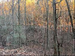 Lot 319 Riverview Drive, Ellijay GA 30540