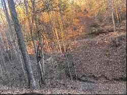 Lot 319 Riverview Drive, Ellijay GA 30540