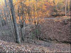 Lot 319 Riverview Drive, Ellijay GA 30540