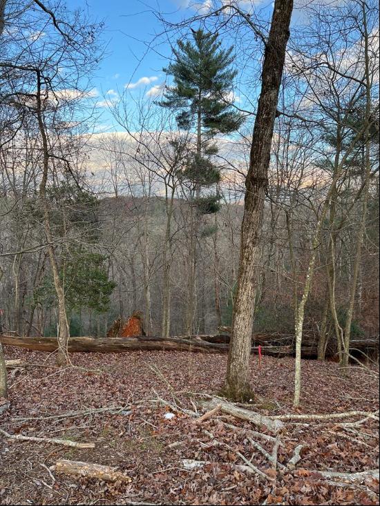 Lot 402 Crown Court, Ellijay GA 30540