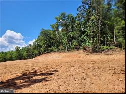 Shadow Mountain Lane, Cleveland GA 30528