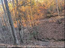 Lot 319 Riverview Drive, Ellijay GA 30540