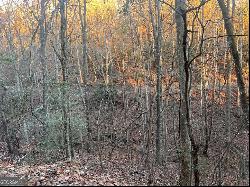 Lot 319 Riverview Drive, Ellijay GA 30540