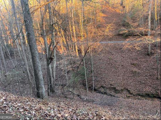 Lot 319 Riverview Drive, Ellijay GA 30540