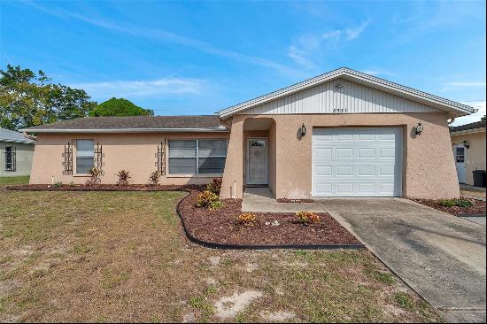 8531 Woodcrest Drive, Port Richey FL 34668