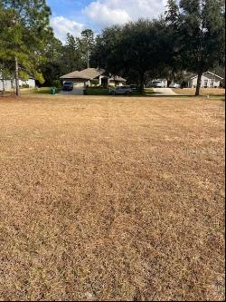 2815 N Brentwood Circle, Lecanto FL 34461