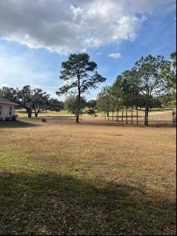 2815 N Brentwood Circle, Lecanto FL 34461