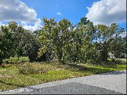 89 Cypress Boulevard E, Homosassa FL 34446