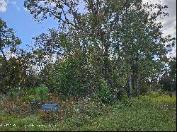 89 Cypress Boulevard E, Homosassa FL 34446