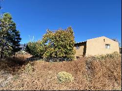 1010 Calle Palomita, Taos NM 87571