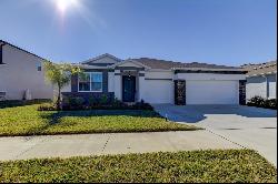 32238 Conchshell Sail Street, Wesley Chapel FL 33545