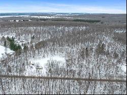 Pincherry Road, Charlevoix MI 49720