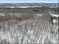 Pincherry Road, Charlevoix MI 49720