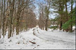 Pincherry Road, Charlevoix MI 49720