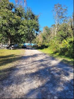 Morena Street #5, New Port Richey FL 34654