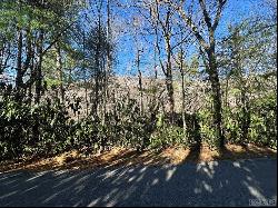 Lot 137 N Buckberry Drive, Sapphire NC 28774