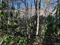 Lot 137 N Buckberry Drive, Sapphire NC 28774