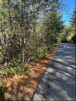 Lot 137 N Buckberry Drive, Sapphire NC 28774