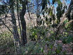 Lot 137 N Buckberry Drive, Sapphire NC 28774