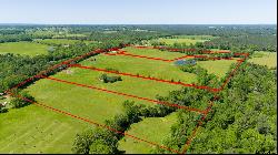 TBD Lot 2 Fm 856, Troup TX 75789