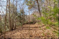 Lot 203 Covered Bridge Trl #34, Fancy Gap VA 24328