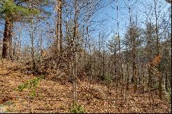 Lot 203 Covered Bridge Trl #34, Fancy Gap VA 24328